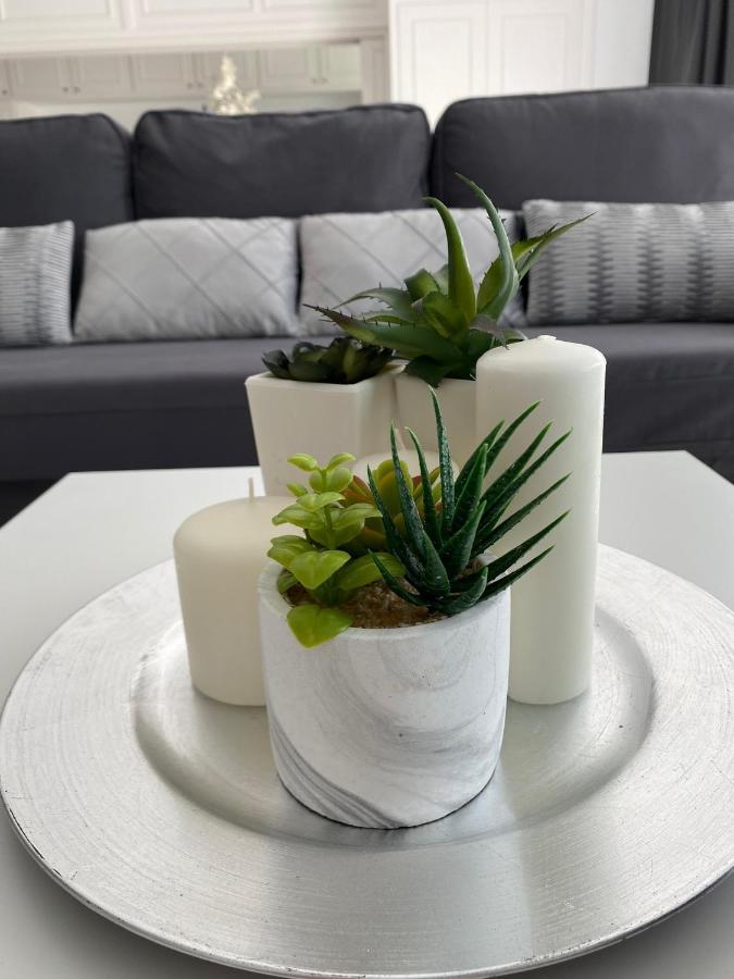 22 Estudio Con Terraza A Estrenar Puerto de la Cruz (Tenerife)